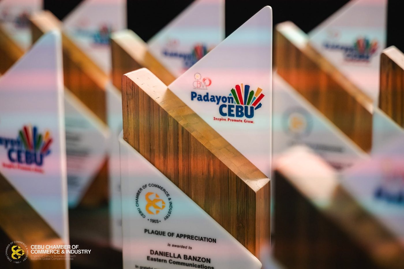 White acrylic plaque of appreciation with a natural bamboo accent and printed event logo